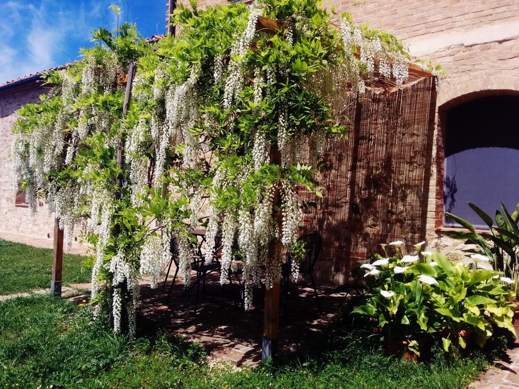 Вилла La Fornace Di San Galgano Frosini Экстерьер фото